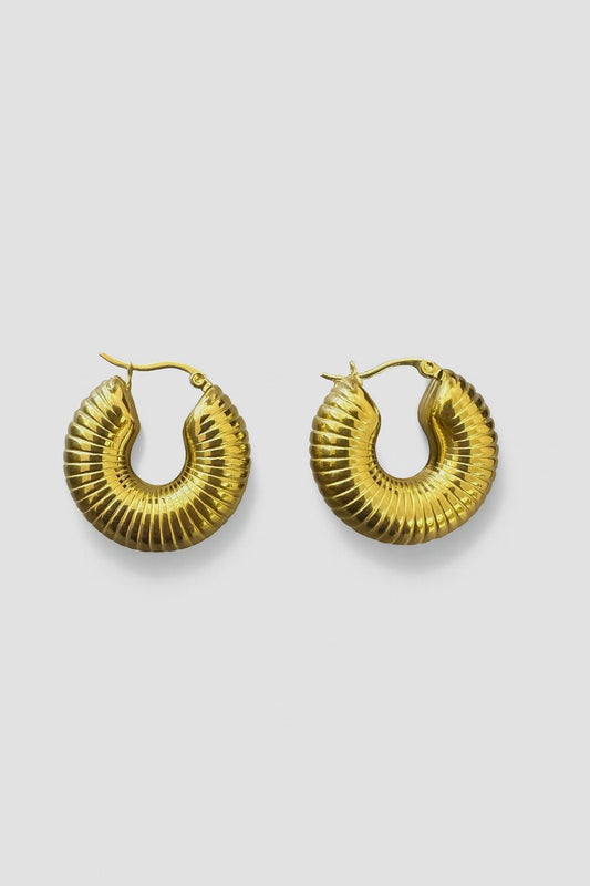 Boucles d'oreilles en acier inoxydable Fall24