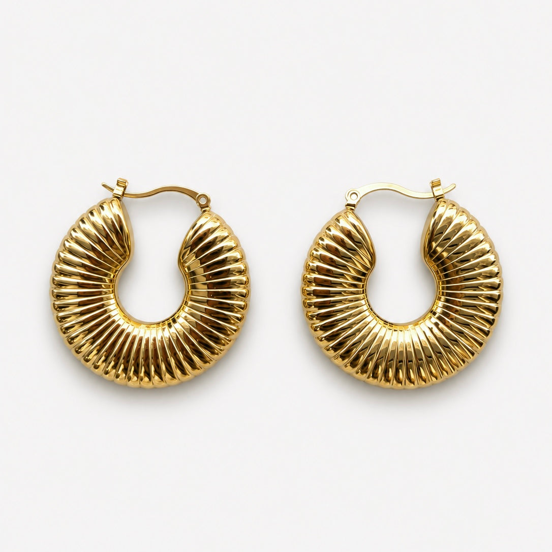 Stainless Steel Earrings 2026