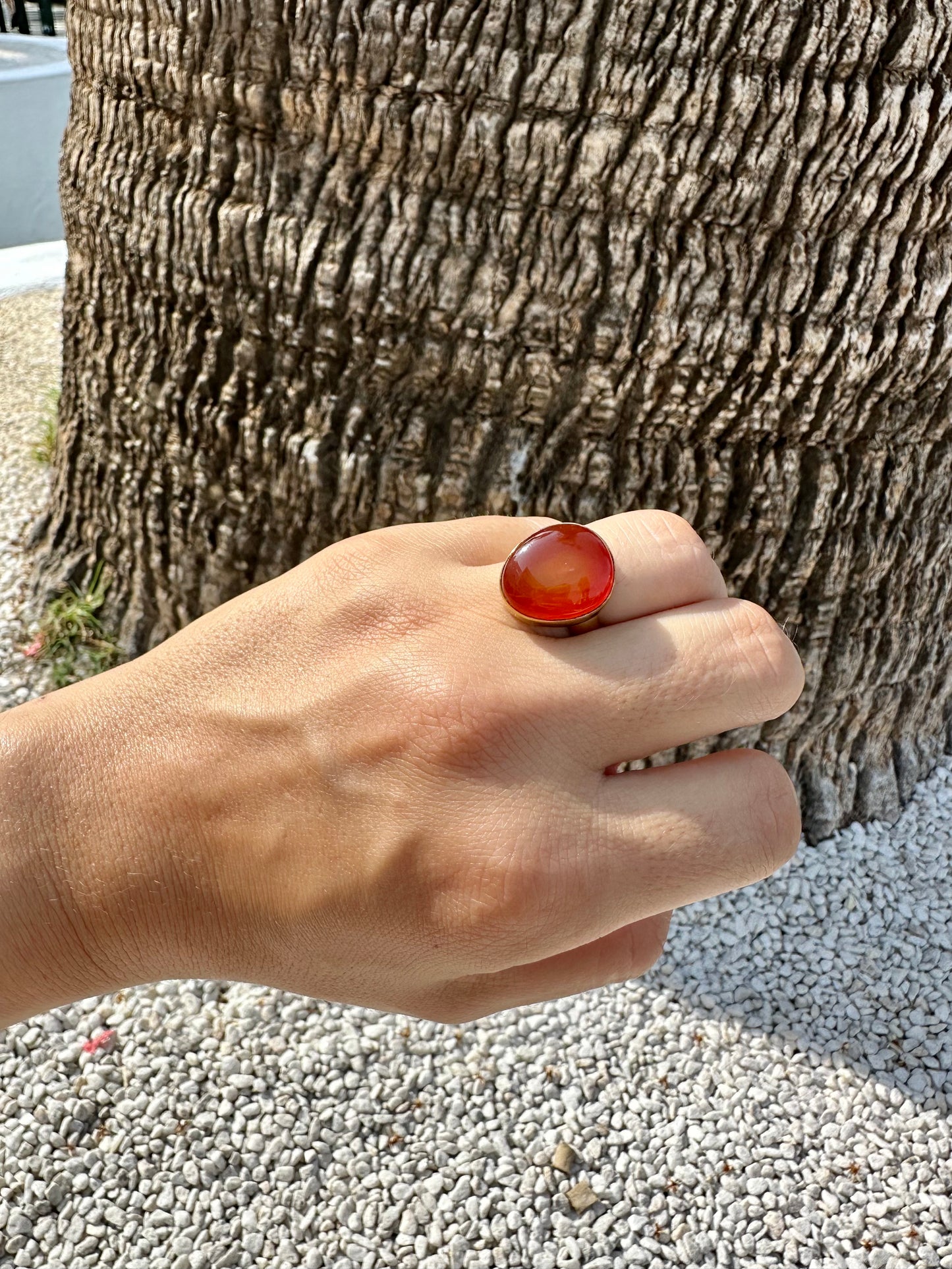 Carnelian Ring One