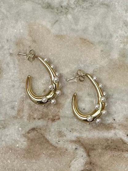 Stainless Steel Earrings Fall24