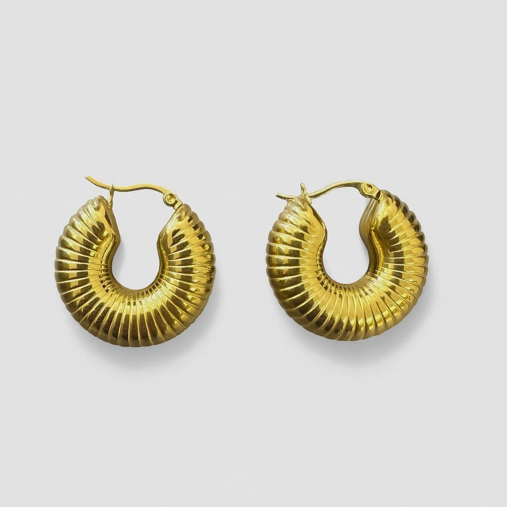 Stainless Steel Earrings 2024