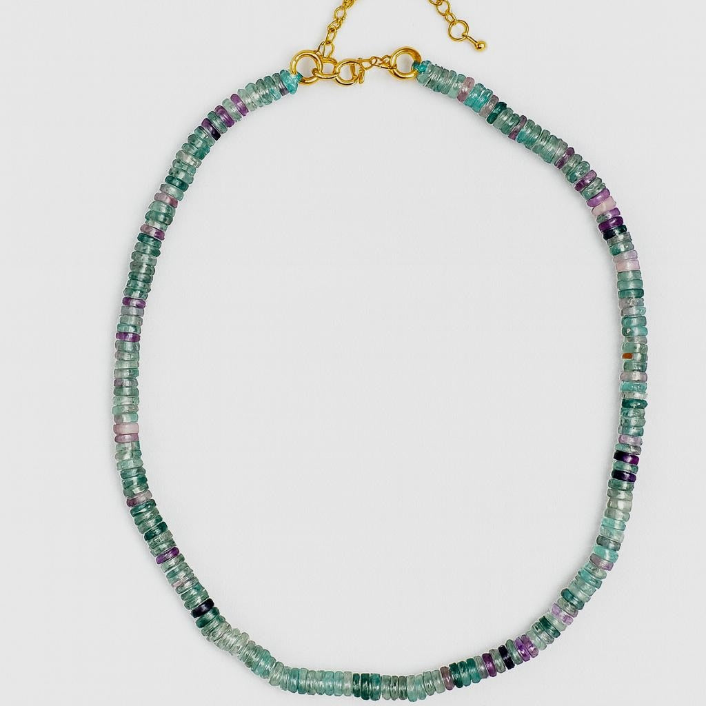 FW25 Small Rondelle Fluorite necklace
